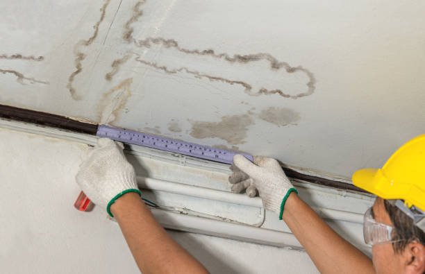 Reliable Flood Cleanup contractor in Castle Rock, CO by Water Damage Irwin